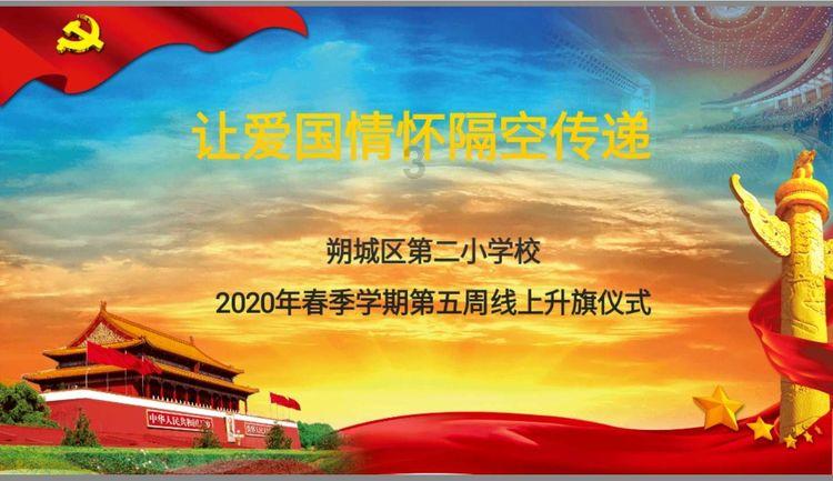 五彩鹦鹉救援