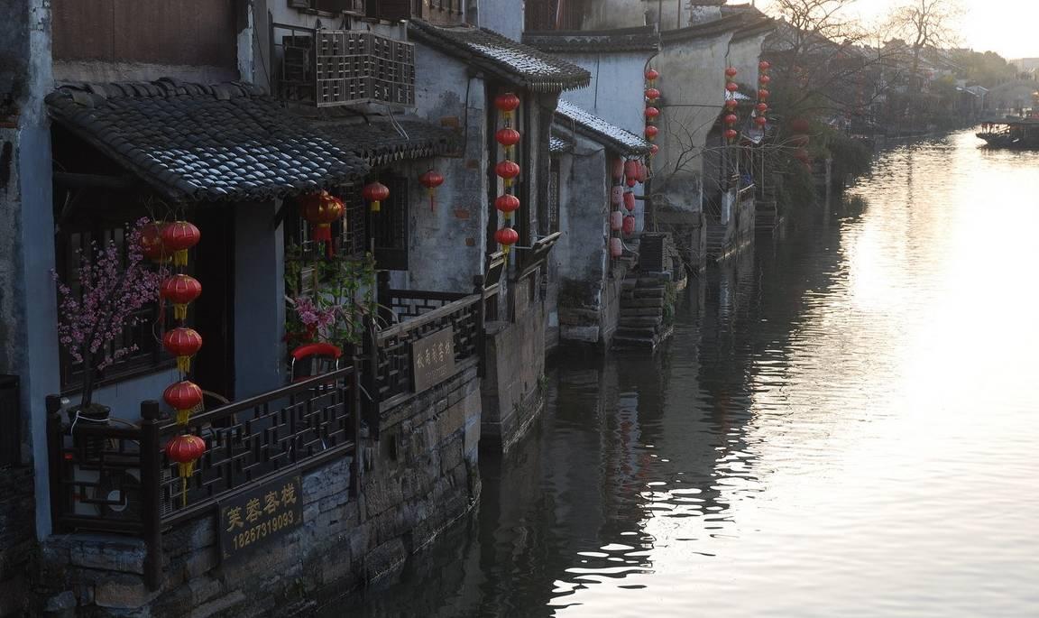 救援花栗鼠